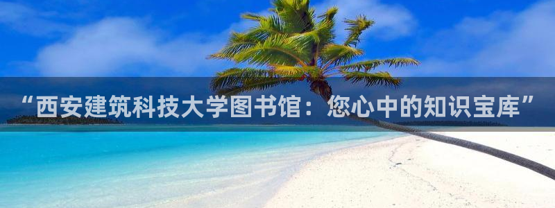新航娱乐官网入口