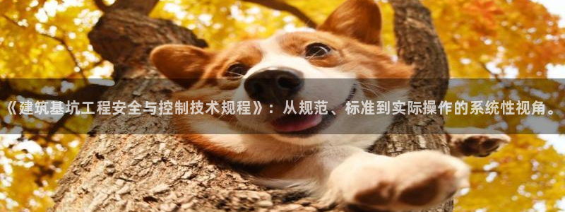 新航娱乐q