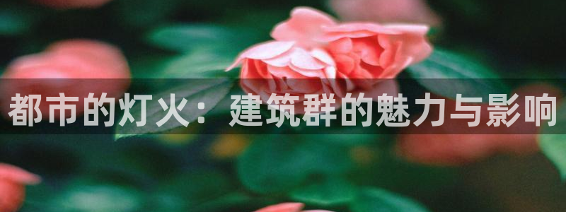 中国新航娱乐官网入口：都市的灯火：建筑群的魅力与影响