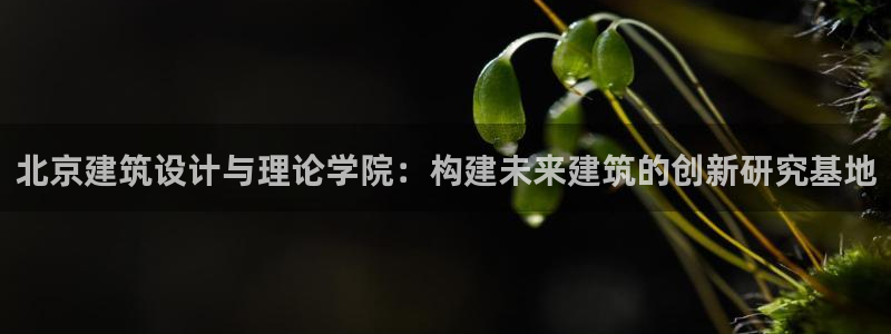 开启娱乐新航线：北京建筑设计与理论学院：构建未来建筑的创新研究基地