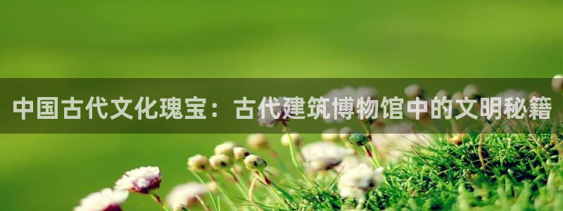 新航娱乐官方网站入口