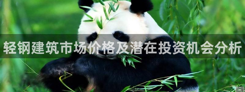 张掖新航线娱乐会所：轻钢建筑市场价格及潜在投资机会分析
