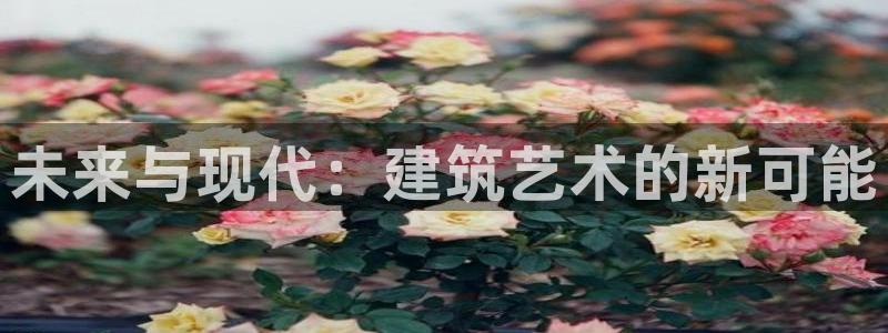 新航娱乐平台
