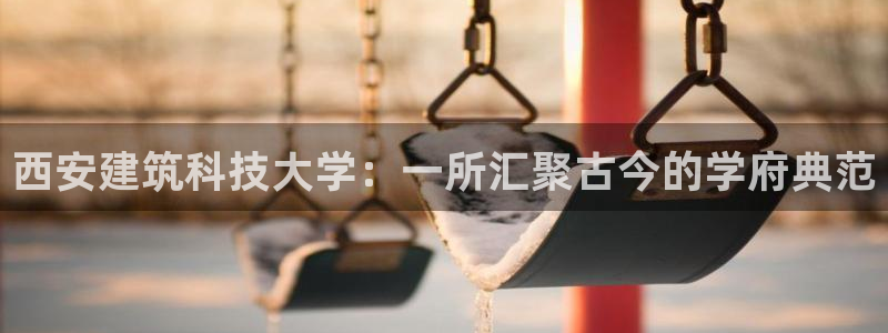 新航文化娱乐传媒怎么样