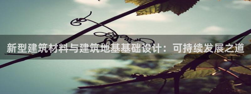 新航娱乐公司怎么样知乎